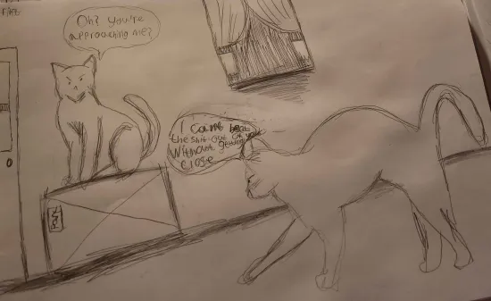 Two cats looking angry at eatch other